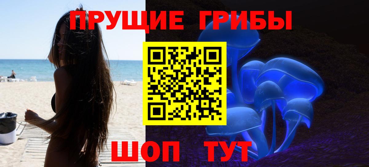 Шарыпово  Псилоцибиновые грибы Psilocybine cubensis  Вход с VPN 