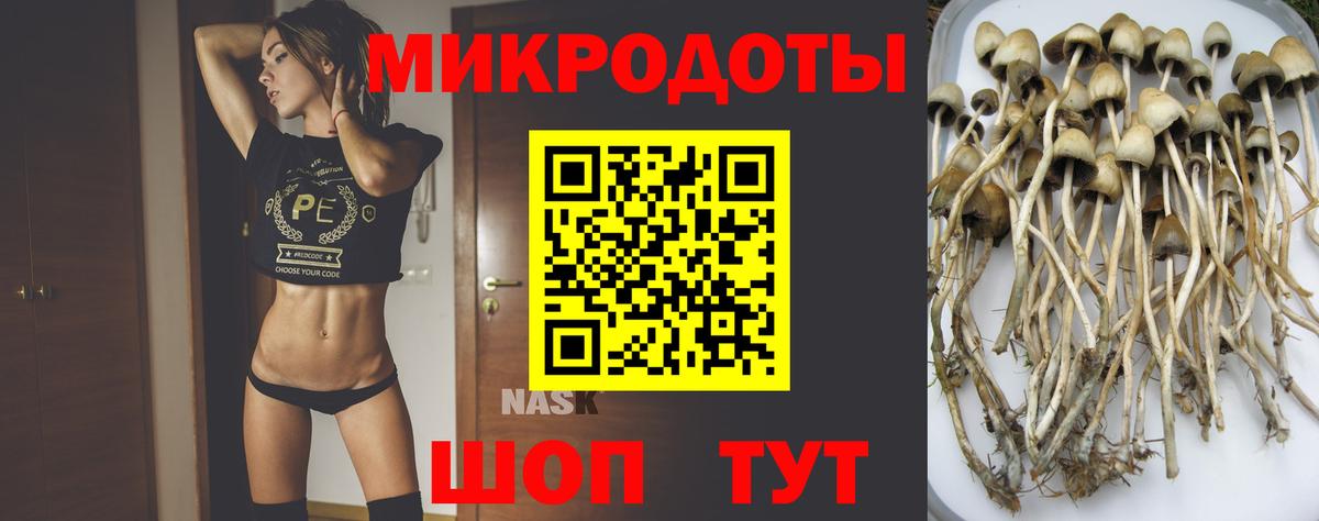 Галлюциногенные грибы Cubensis Шарыпово